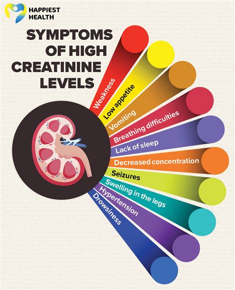 What Happens If Creatinine Is High