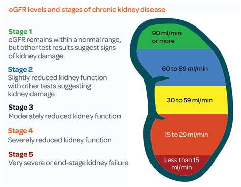 What Happens If Egfr Is Low