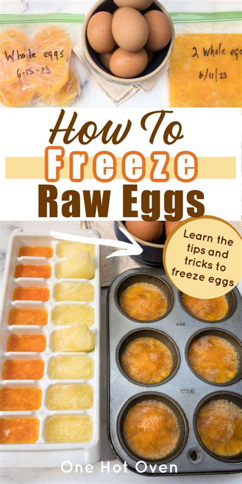 What Happens If Eggs Freeze