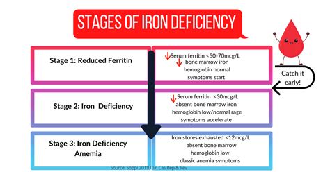 What Happens If Ferritin Is Low