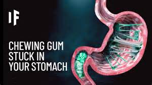 What Happens If I Swallow Gum
