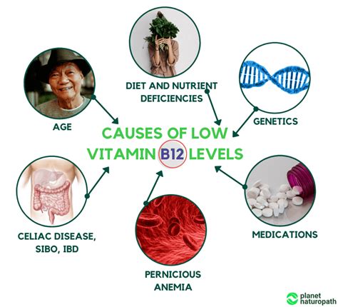 What Happens If Vitamin B12 Is Low