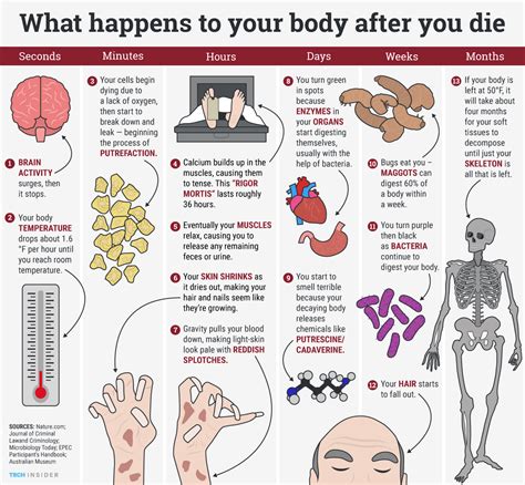 What Happens When A Person Dies