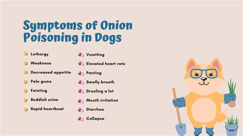 What Happens When Dogs Eat Onions