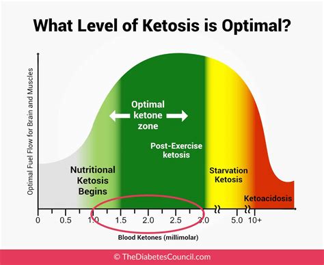 What Happens When Ketones Are High