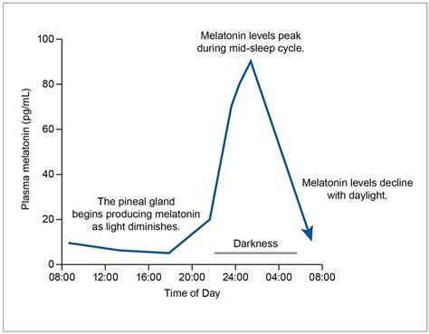 What Happens When Melatonin Levels Are High