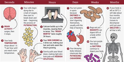 What Happens When Organs Shut Down