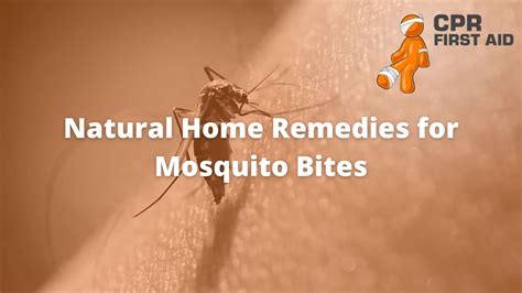 What Helps With Mosquito Bites