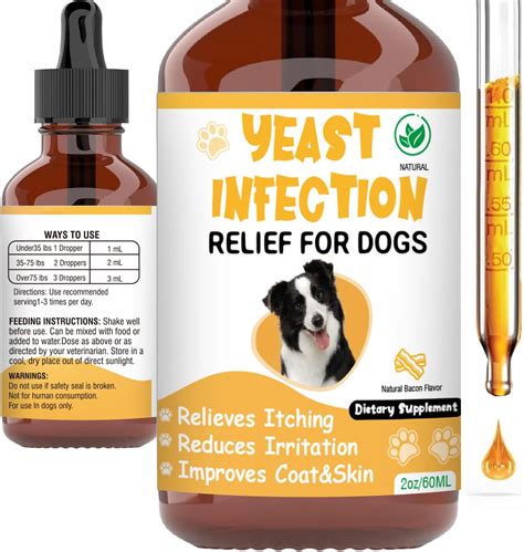 What Helps With Yeast In Dogs Ears