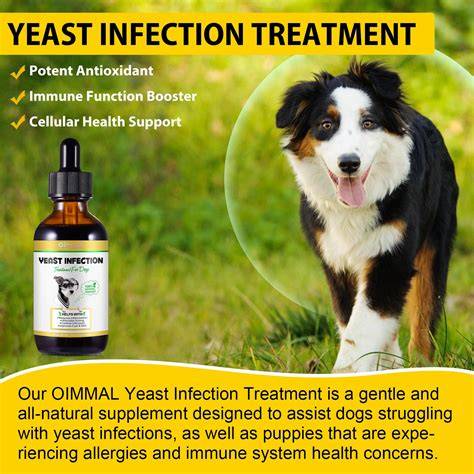 What Helps With Yeast In Dogs