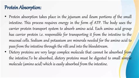 What Improves Protein Absorption