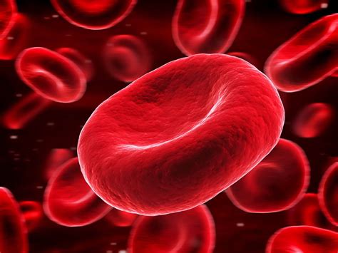 What Improves Red Blood Cells