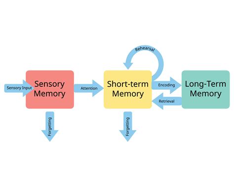 What Improves Shortterm Memory