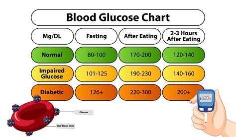 What Increases Blood Glucose Levels