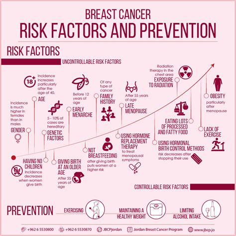 What Increases Breast Cancer Risk