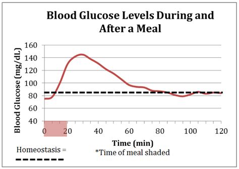 What Increases Glucose Level In Blood