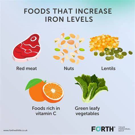 What Increases Iron Levels