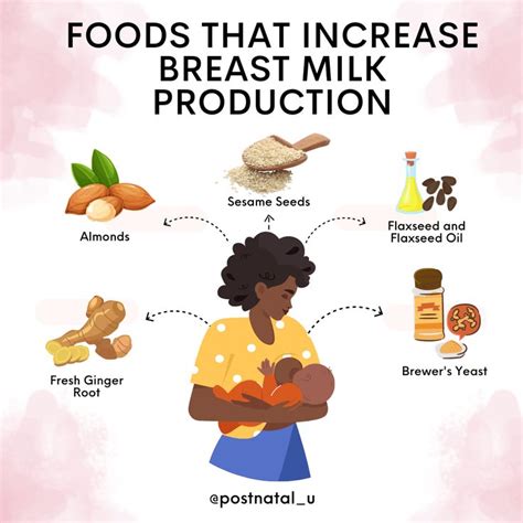 What Increases Milk Production In Women
