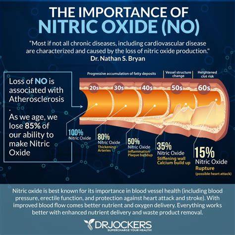 What Increases Nitric Oxide