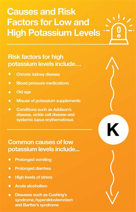 What Increases Potassium Levels