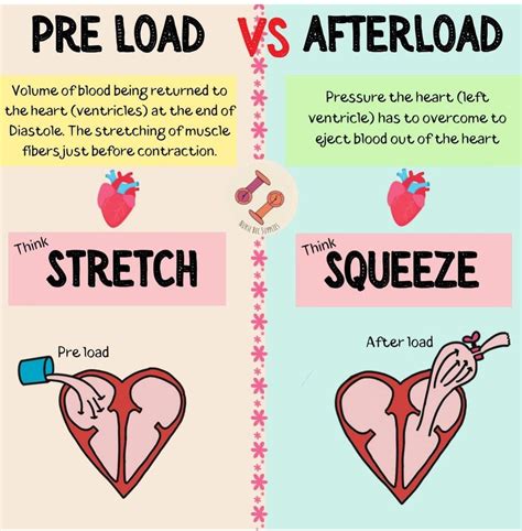 What Increases Preload