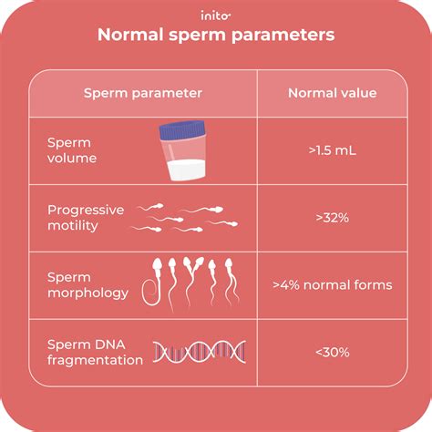 What Increases Sperm Volume