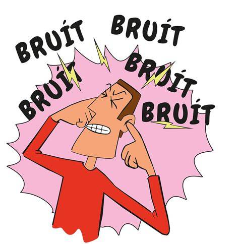 What Is A Bruit