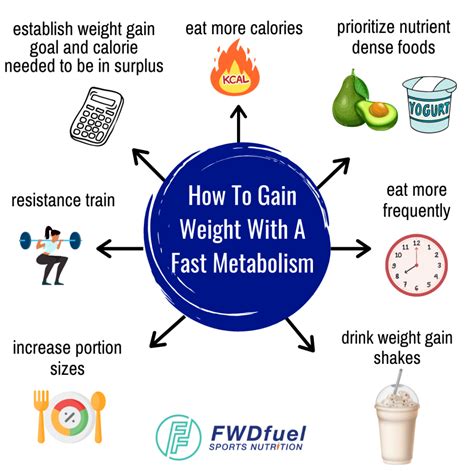 What Is A Fast Metabolism