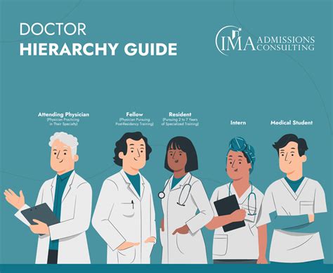 What Is A Fellow Doctor