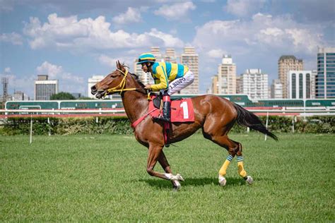 What Is A Jockey