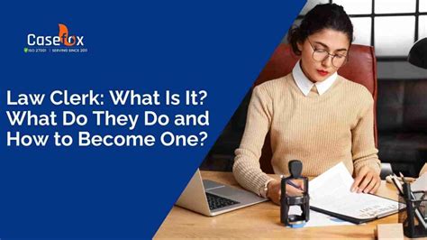 What Is A Law Clerk