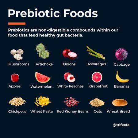 What Is A Prebiotic