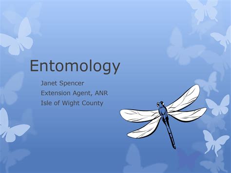 What Is An Entomologist