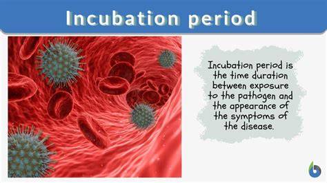 What Is An Incubation Period