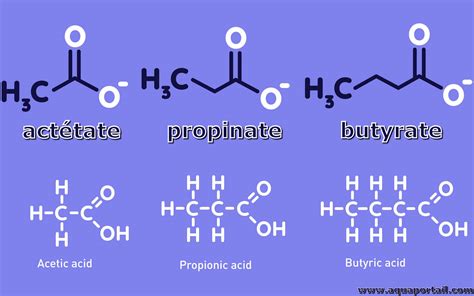 What Is Butyrate