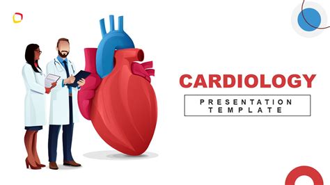 What Is Cardiology