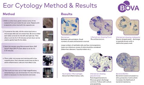 What Is Cytology