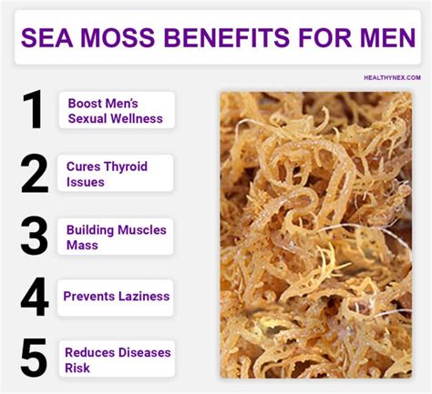 What Is Sea.moss Good For