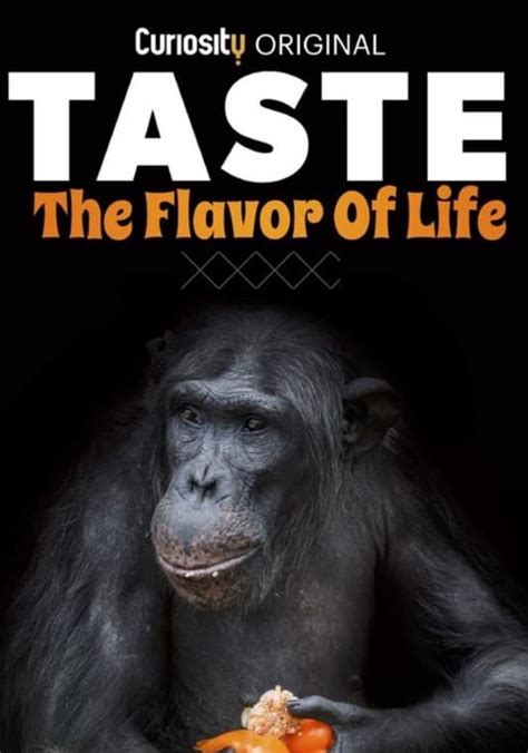 What Is Taste Of Life