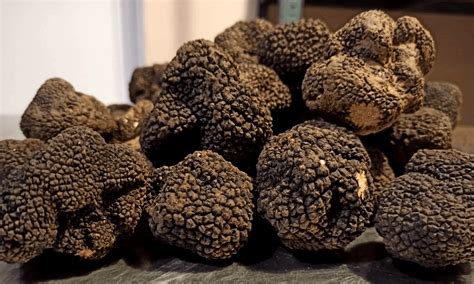 What Is Taste Of Truffle
