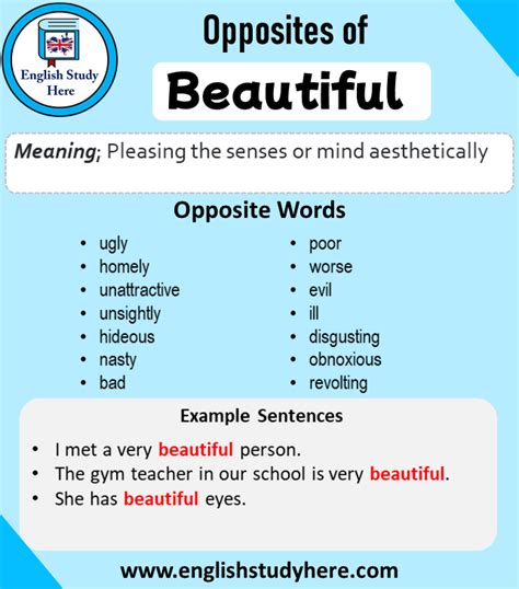 What Is The Antonym Of Beautiful