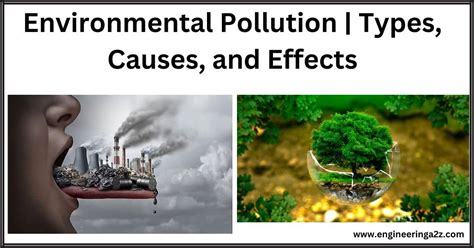 What Is The Effect Of The Environmental Pollution