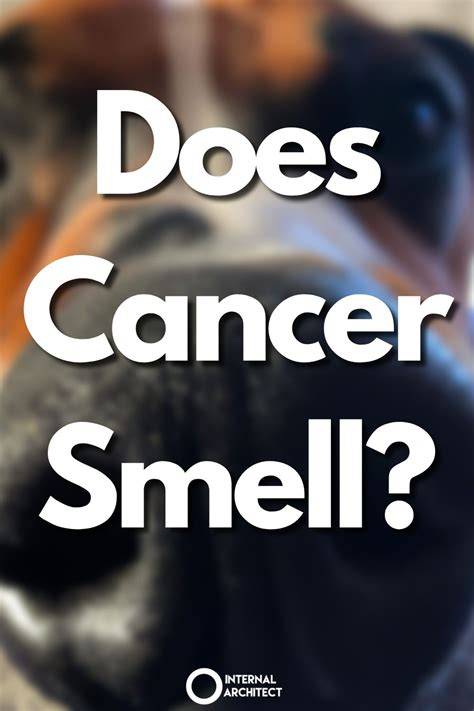 What Is The Smell Of Cancer