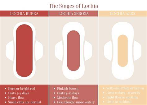 What Is The Smell Of Lochia