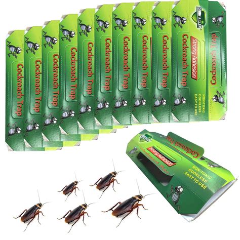 What Kills Cockroaches