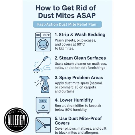 What Kills Dust Mites Instantly Naturally
