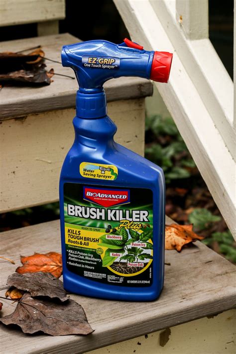 What Kills English Ivy