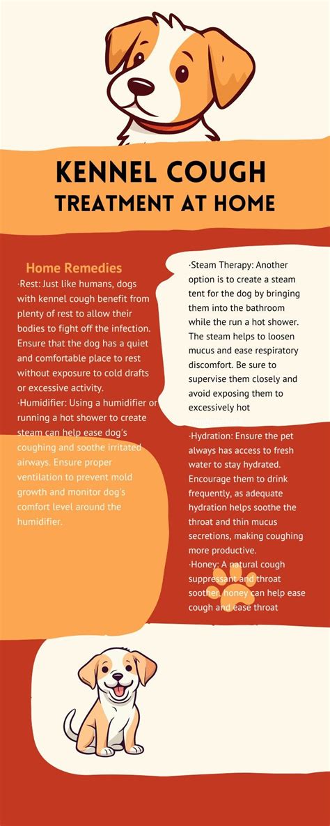 What Kills Kennel Cough On Surfaces