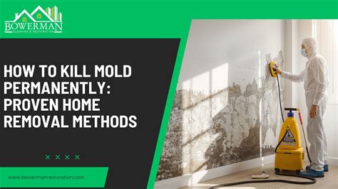 What Kills Mold Permanently