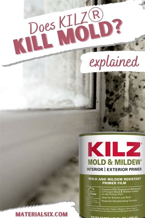 What Kills Mold